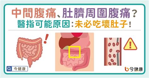 肚臍周圍長毛